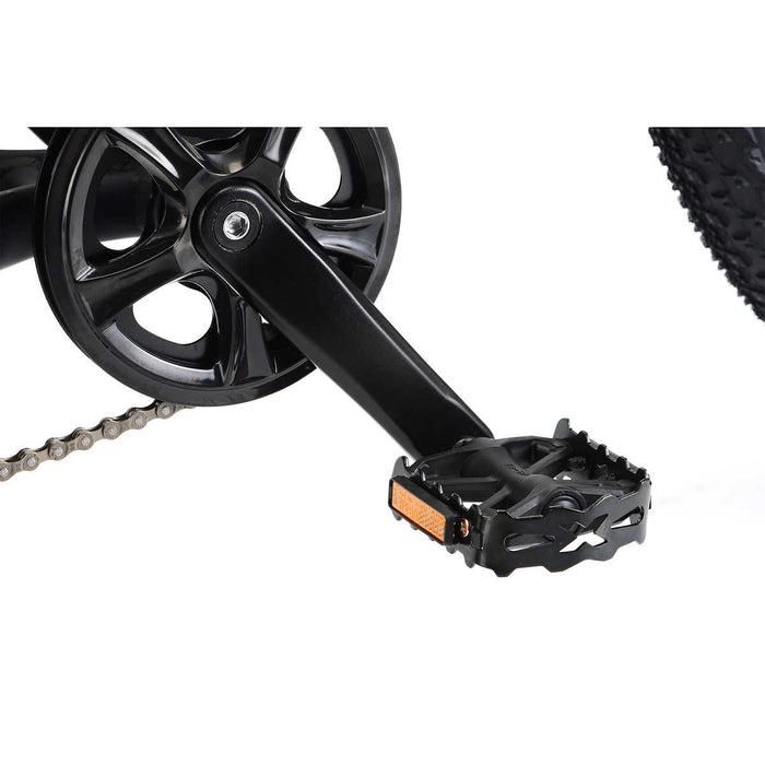 Northrock XC00 Fat Tire Bike
