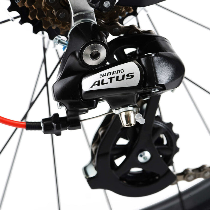 Northrock XC00 Fat Tire Bike