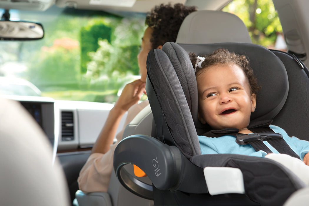 Chicco Fit2 Infant & Toddler Car Seat, Legato